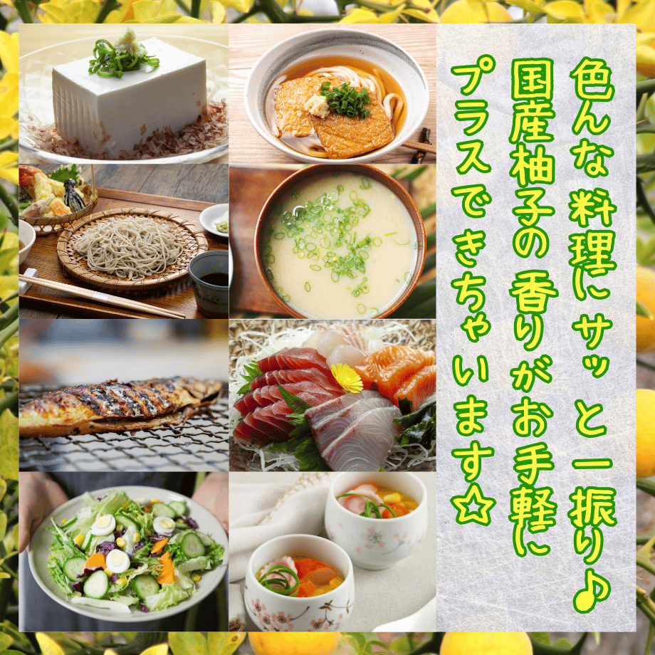 669dd04cd50198037e294570