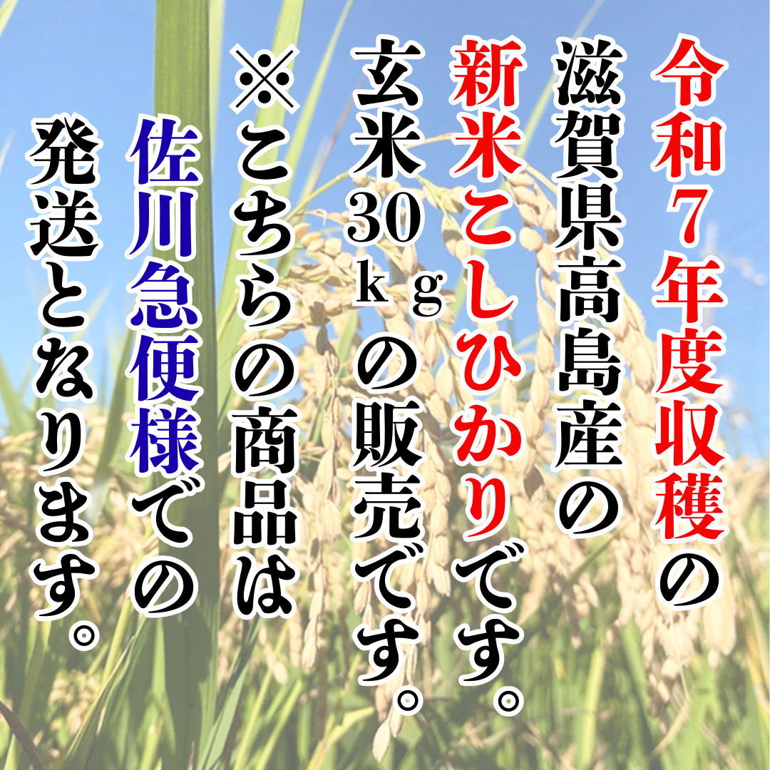 送料込み！30kg玄米 新米 滋賀県高島市産コシヒカリ 当店自慢の銘柄新米『令和7年度収穫・滋賀県高島産こしひかり