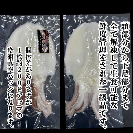 壱岐の海が育んだ一級品『壱岐産あおりいか刺身用・約200ｇＵＰ』