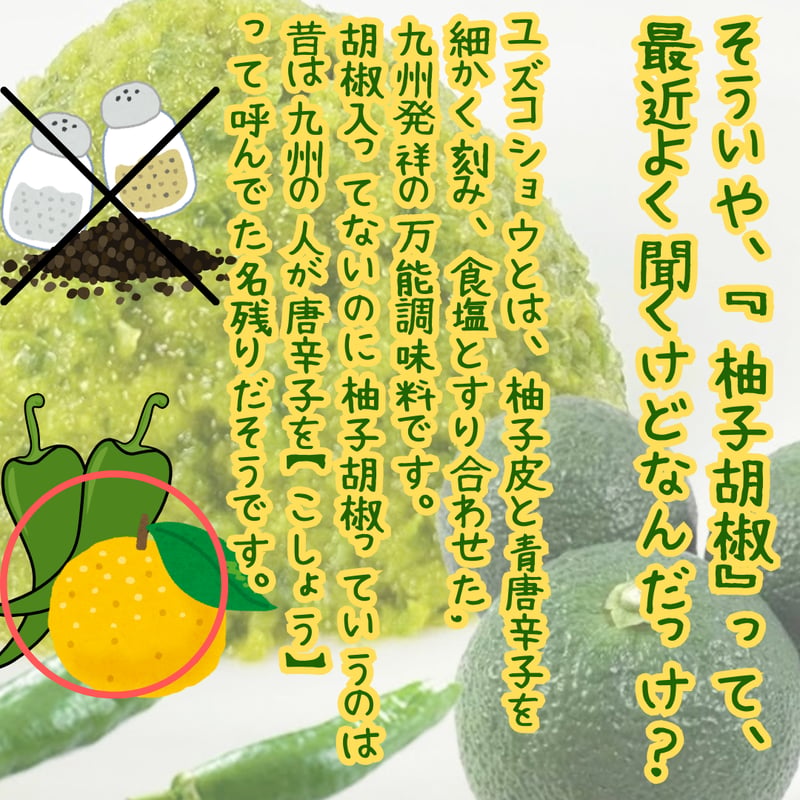 柚子胡椒 柚子胡椒 1P 60g 大分県産 MLD-mf0014 – 伊藤家（ITOKE）公式ストア