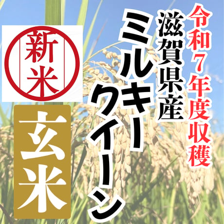 強い甘みが魅力の品種『滋賀県産ミルキークイーン玄米30ｋｇ』