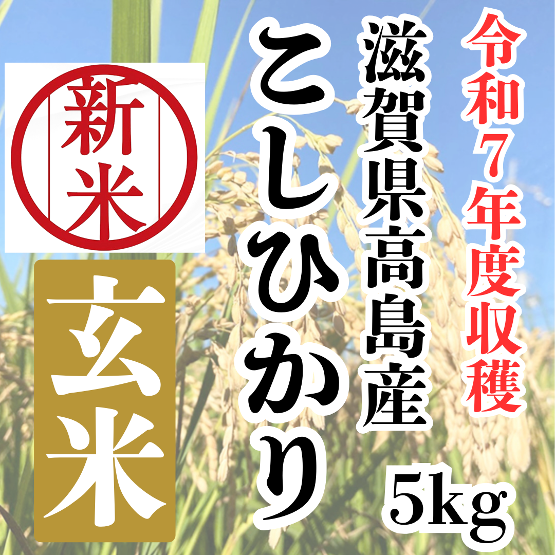 なの　新米コシヒカリ精米済無洗米約24kg 　滋賀県高島産 楽天市場】新米 こしひかり 2kg 無洗米 高知県産 令和7年産 BG