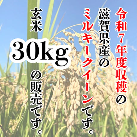 強い甘みが魅力の品種『滋賀県産ミルキークイーン玄米30ｋｇ』