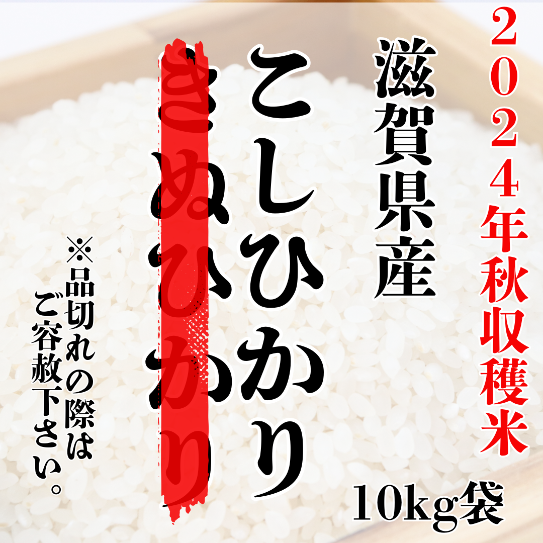 6年産きぬひかり完売代替品『滋賀県産・こしひかり10kg袋