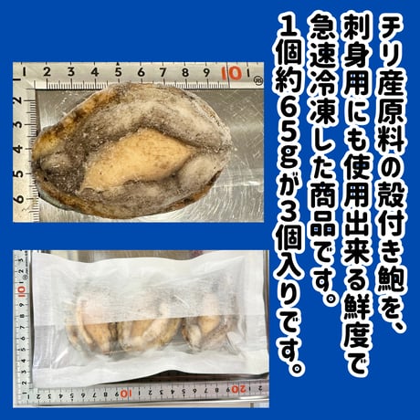 数量限定格安出品『殻付きアワビ生食用3個入り』