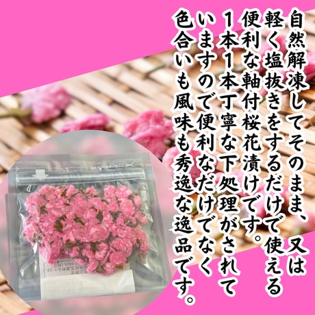 上品な春の彩り『桜の花塩漬け軸付』