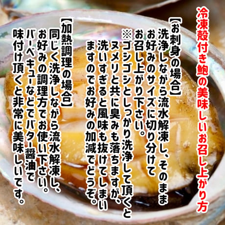 数量限定格安出品『殻付きアワビ生食用3個入り』