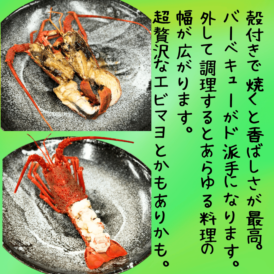 668b9030cd375809644a9deb