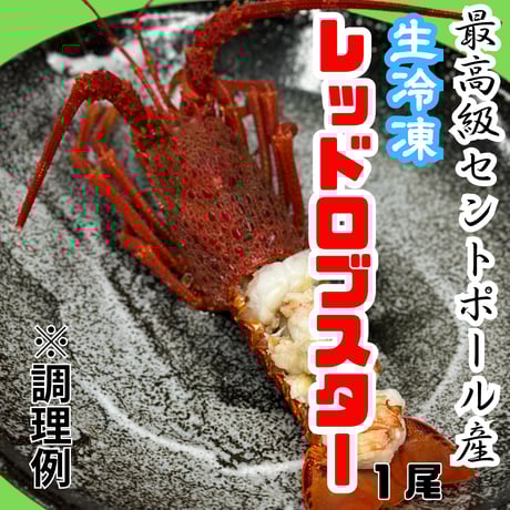 世界最高峰品質！生ロブスター・セントポール産