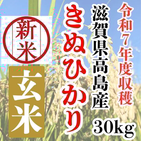 キヌヒカリ | STORES