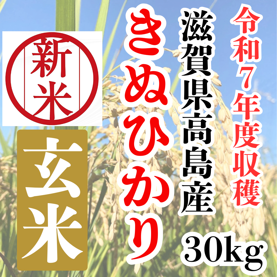 稲#7残曲数3000曲歌える25-05-13日迄-家庭用-下取機要 楽天市場】チェーンソー 充電 コードレス 小回り 枝切り 枝打ち