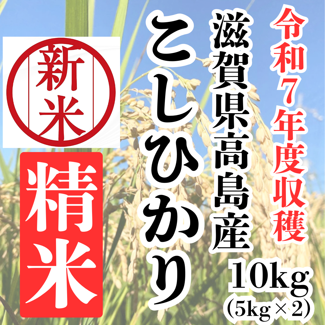 送料込み！限定セール！20kg、15kg、10kg、5kg(各2個ずつ) ファイティングロード Co.Ltd（FIGHTING ROAD CO.LTD）（メンズ