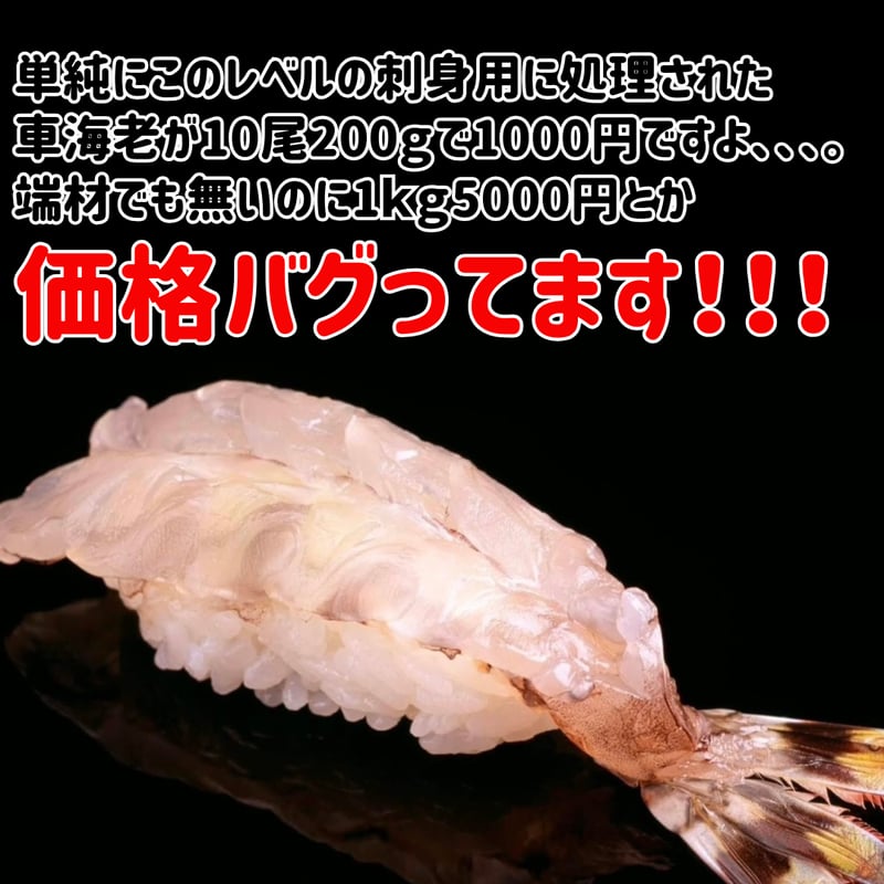 数量限定格安出品『お刺身車海老特大サイズ10尾入り』 | STORE+328