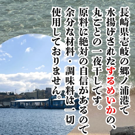 いかの旨味凝縮『壱岐の島産・いか一夜干し』