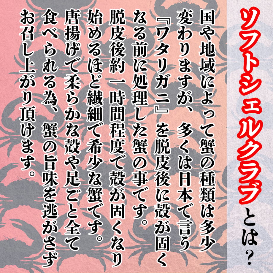 66dfc17560a81b0d87355bd9