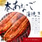 脂の旨味が最高！本穴子蒲焼