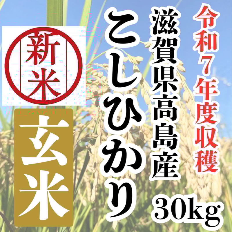 新米　コシヒカリ　玄米約30kg 　滋賀県高島産 当店自慢の銘柄新米『令和7年度収穫・滋賀県高島産こしひかり