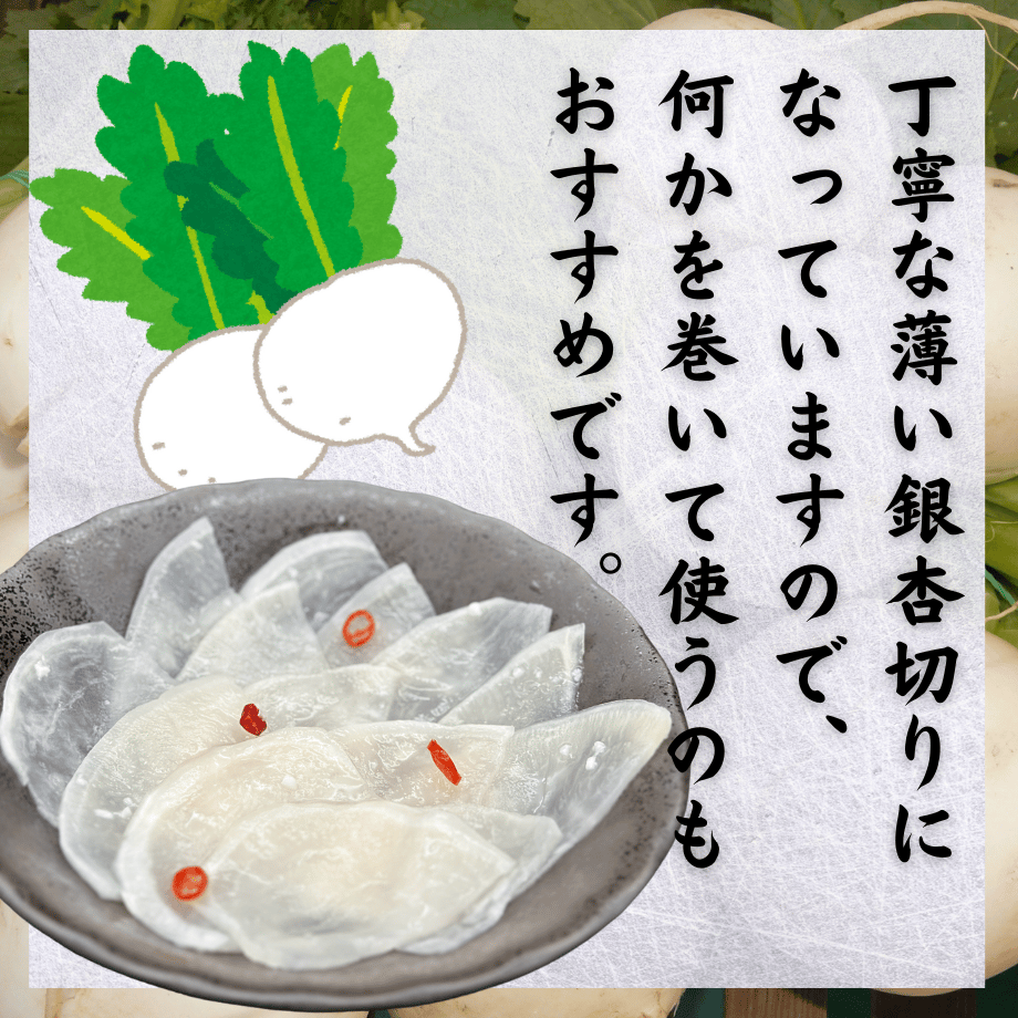 669b19545106c209397ed1b0