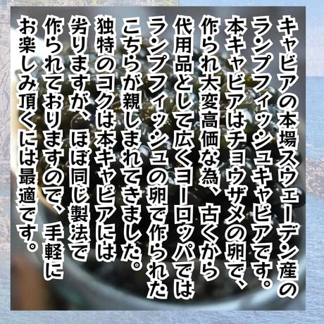 手軽に世界三大珍味気分♪ランプフィッシュキャビア