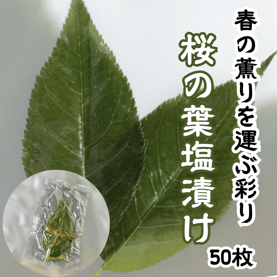 67c94310646cf12dacb2ccb0