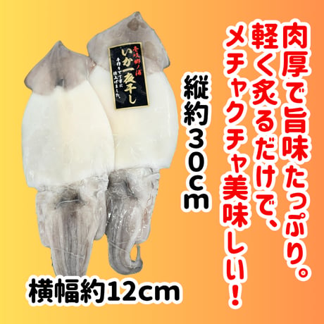 いかの旨味凝縮『壱岐の島産・いか一夜干し』
