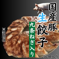 当店オリジナル『国産豚生餃子・九条ねぎ入り』