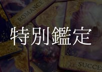 ✰⋆｡特別鑑定･*☽:ﾟ