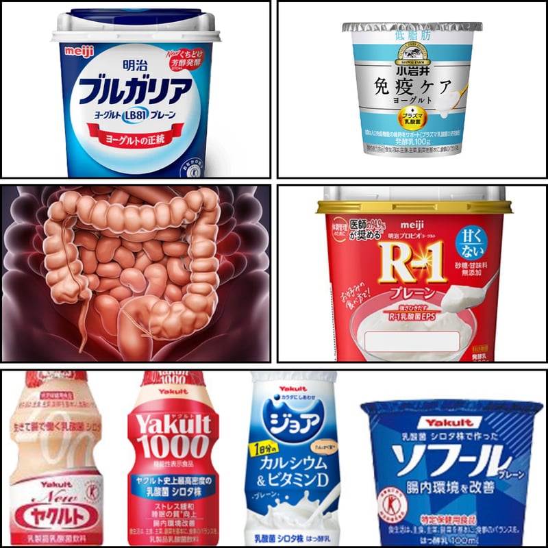 乳酸菌とビフィズス菌のサイエンス Sixteens® 複合乳酸菌」サプリ / 腸