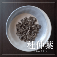 杜仲葉（とちゅうよう）/ 「その疲れ、“腎”から見直してみませんか？」 ― 加齢・冷え・だるさの根本ケアに。