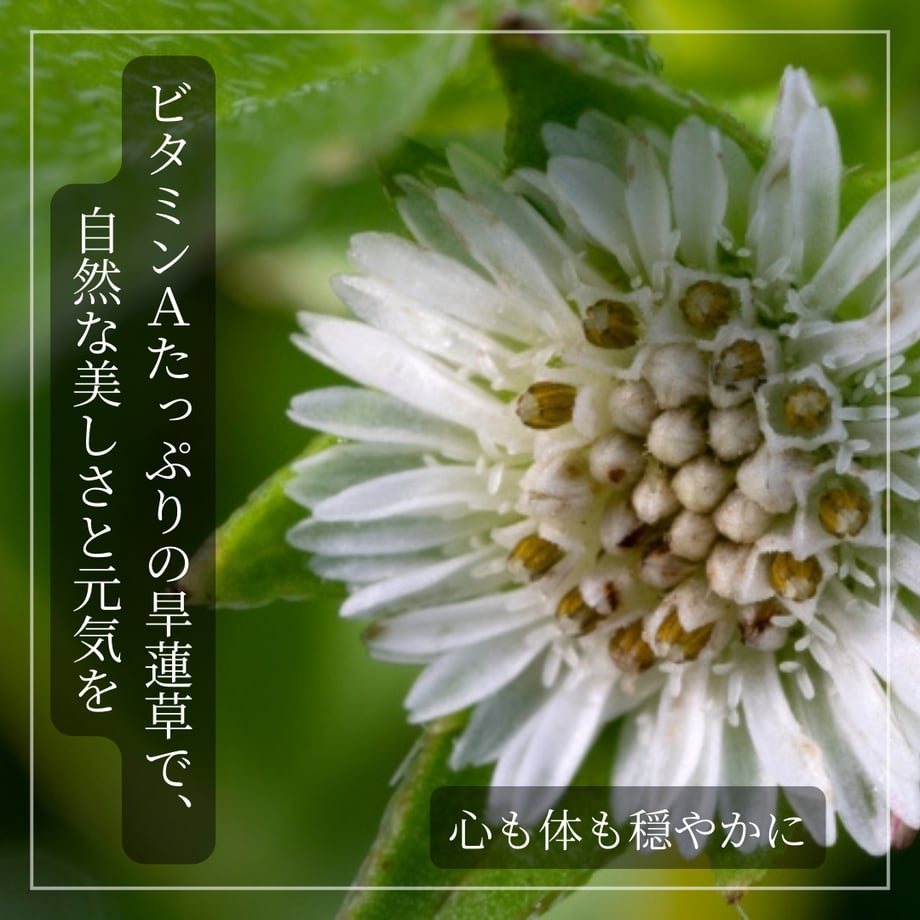 667139e4b4ac74020d3eb074