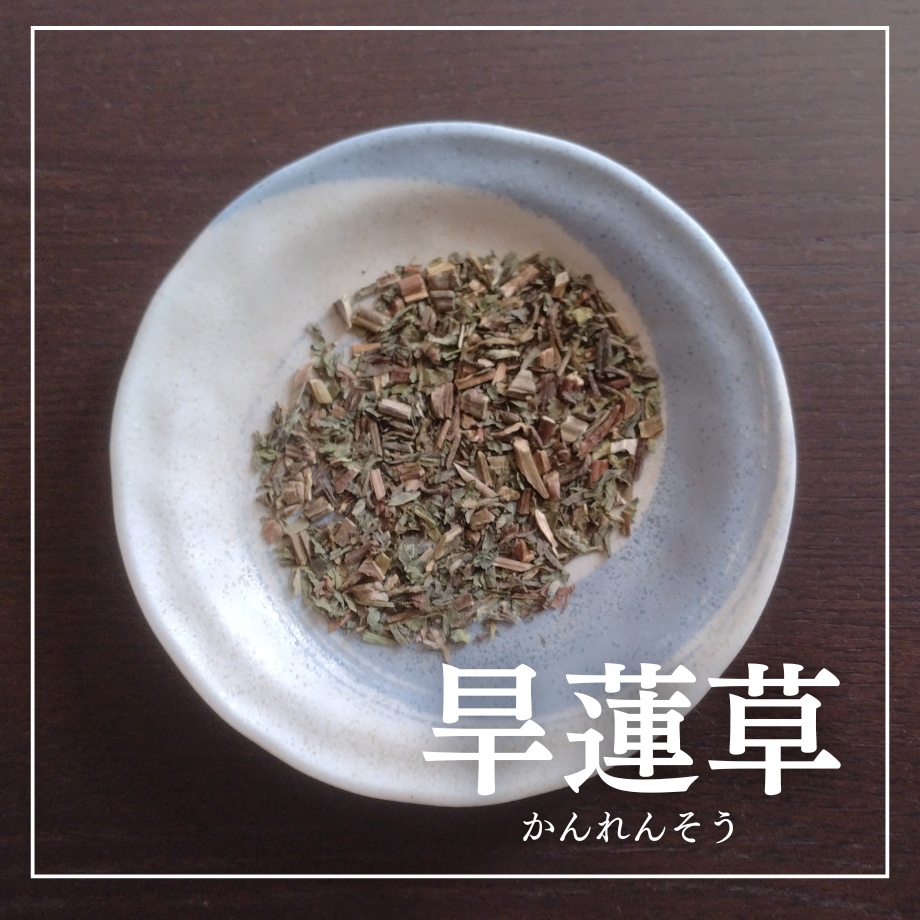 66f61edae5f041072491fb78