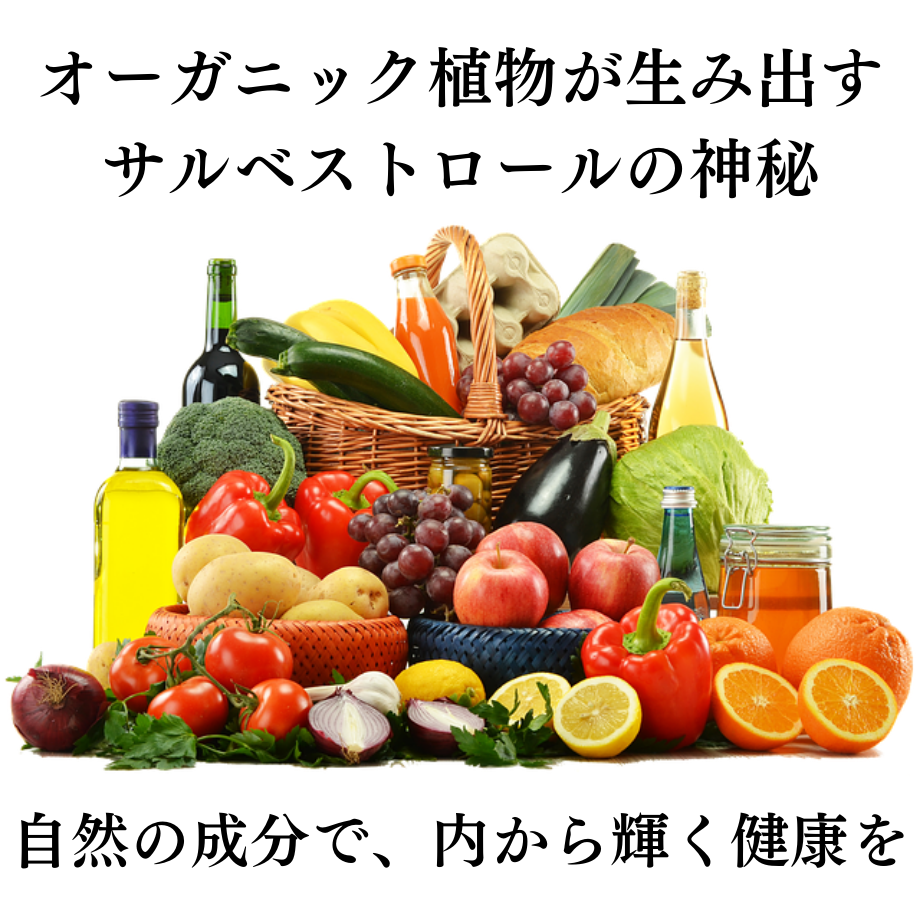 サルベストロール  4袋セット Salvestrol PLATINUM2000 サルベストロール 4袋セット Salvestrol PLATINUM2000