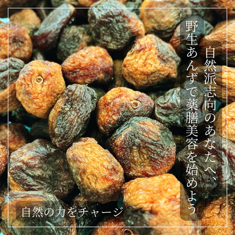 野生あんず（無農薬栽培 無添加）/ 自然の酸っぱさが、私をととのえる