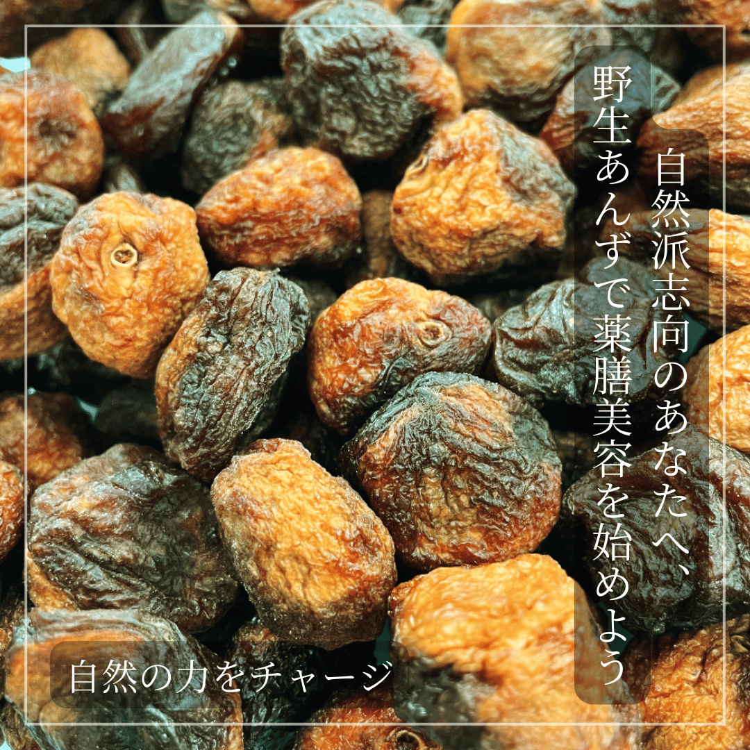 野生あんず（無農薬栽培 無添加）/ 自然の酸っぱさが、私をととのえる