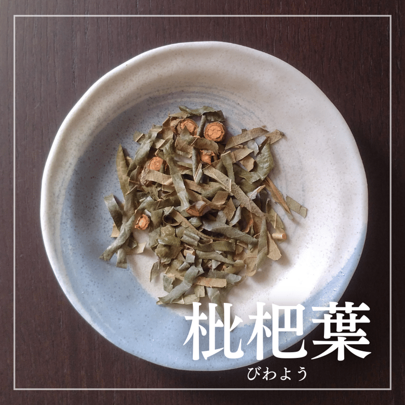 枇杷の葉　確認用 枇杷の葉 確認用 枇杷の葉 確認用 枇杷の葉確認用