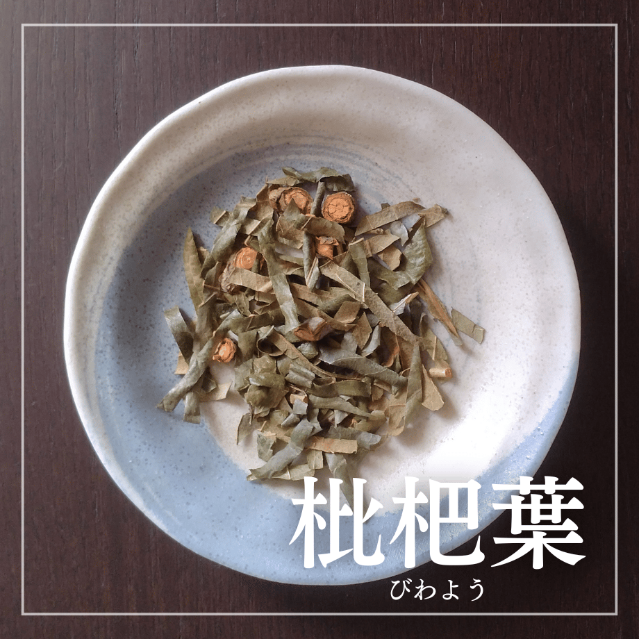 枇杷葉（びわよう）/ 熱を冷まし、気分もスッと軽やかに。枇杷葉の清涼