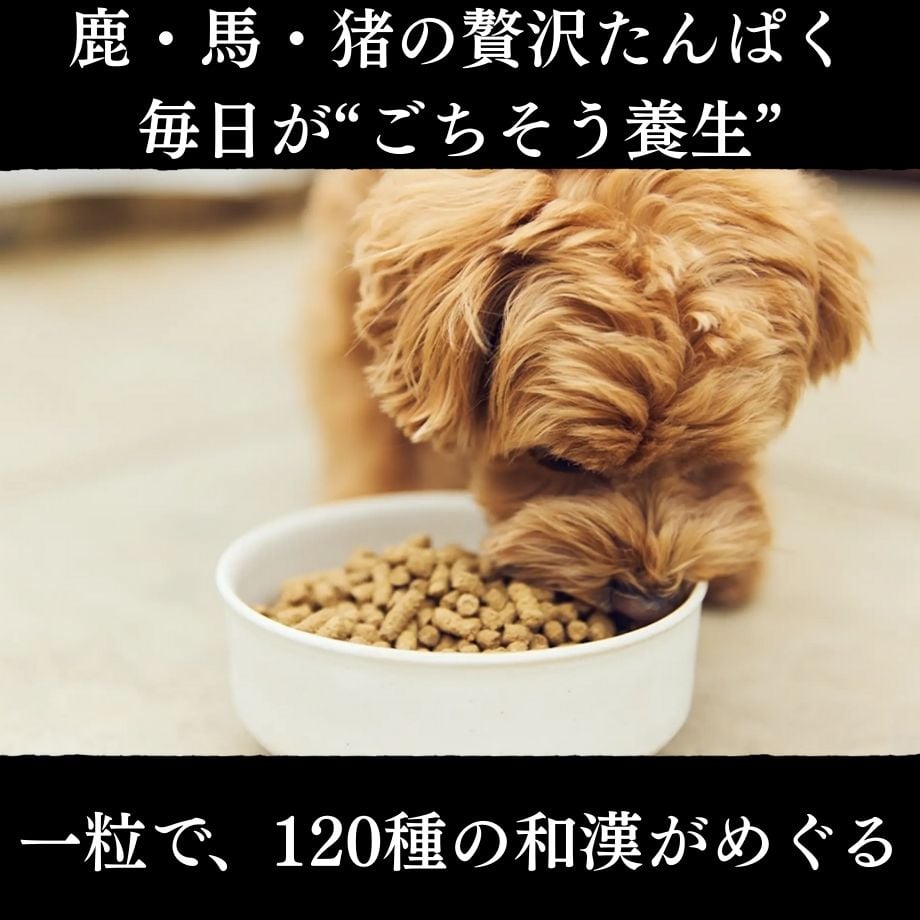 和漢グレードアップ商品sowaka 脾臓・肝臓・消化器ドッグフード 新品