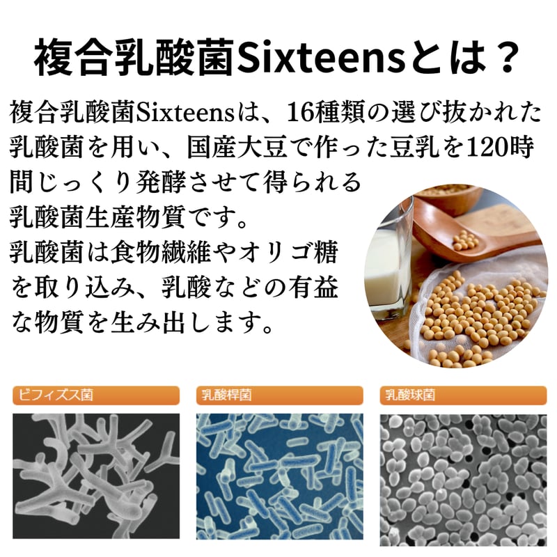 Sixteens® 複合乳酸菌」サプリ / 腸活、進化形。バイオジェニックスの