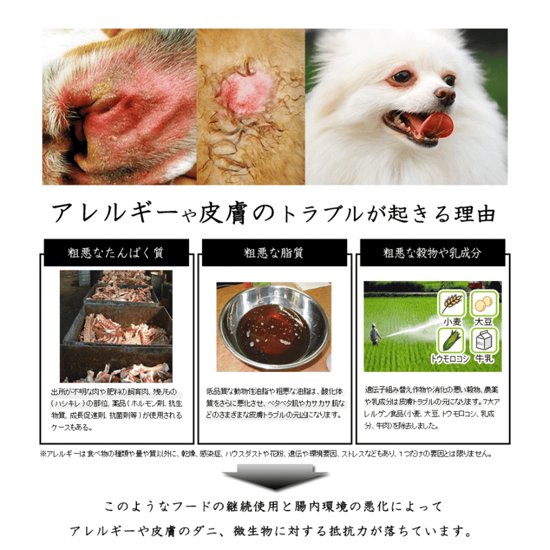 和漢みらいのドッグフード 特別療法食A（皮ふ・アレルギー）1kg/袋