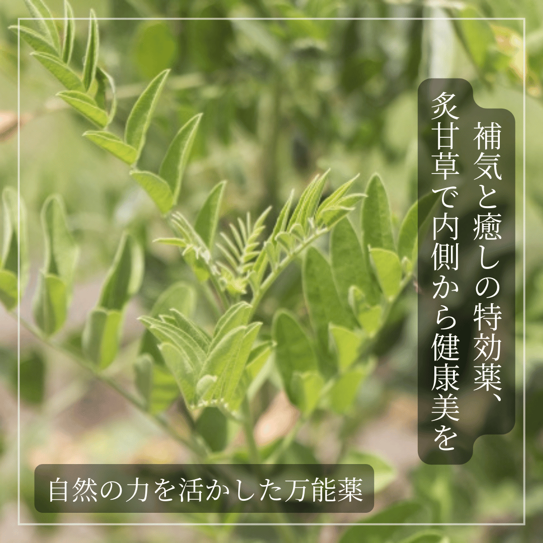 炙甘草（しゃかんぞう）/ 甘く、やさしく、心までほどける | ほどよい堂