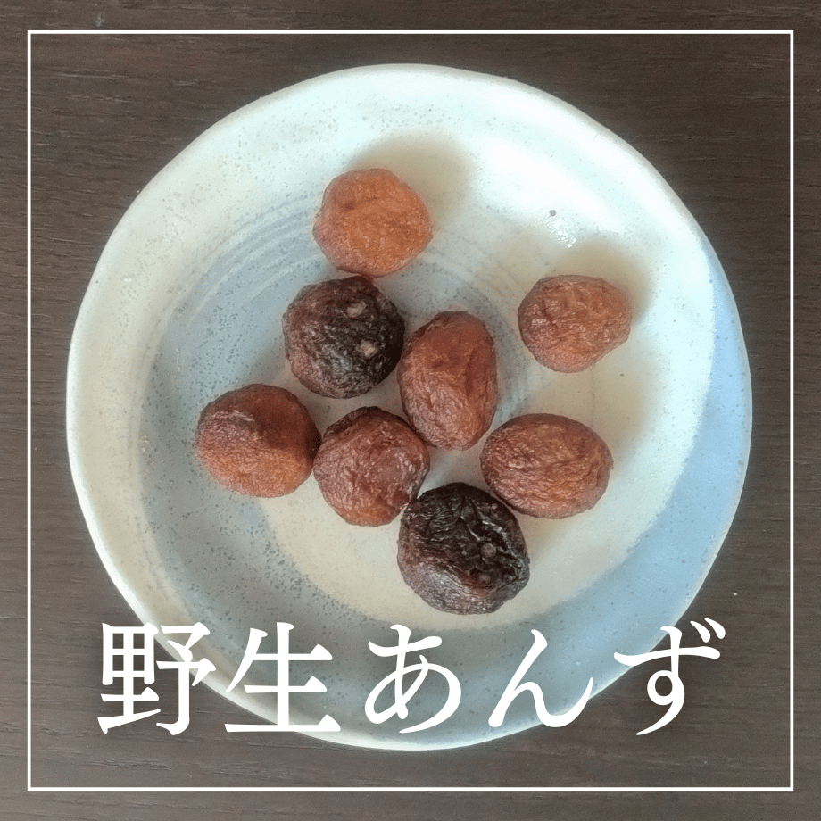 野生あんず（無農薬栽培 無添加）/ 自然の酸っぱさが、私をととのえる