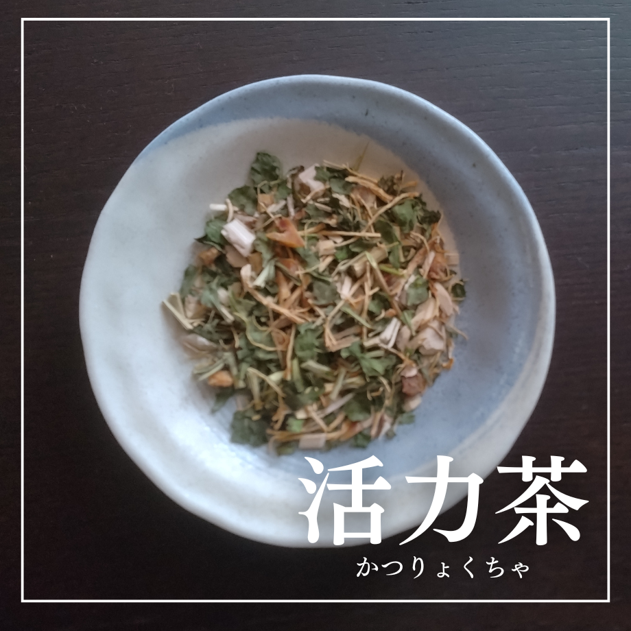 66f629465106c20a883c26b8