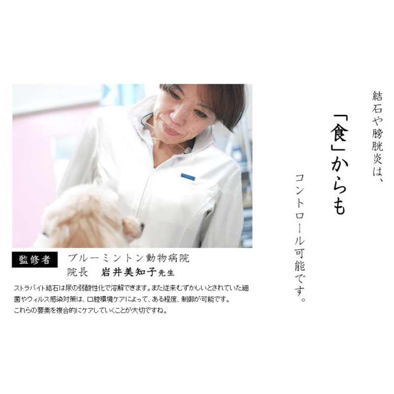 和漢みらいのドッグフード 特別療法食KE（結石・膀胱炎）1kg/袋