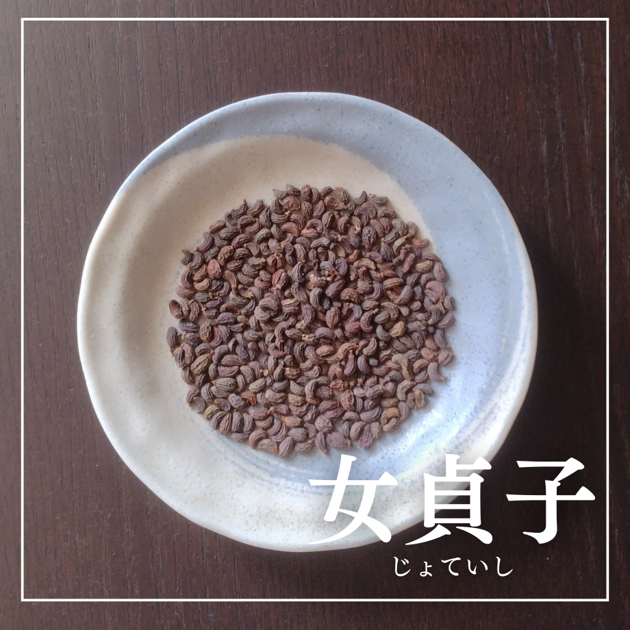 66f567b8d34c9c0cf47efae8