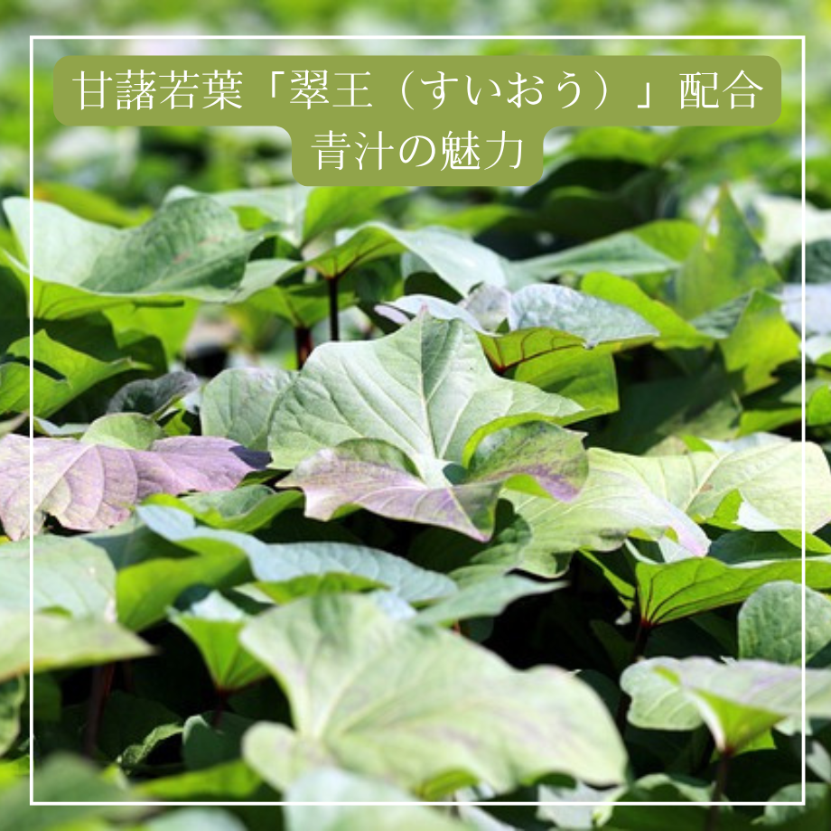 67336472d3c2c90b51eb6a1a