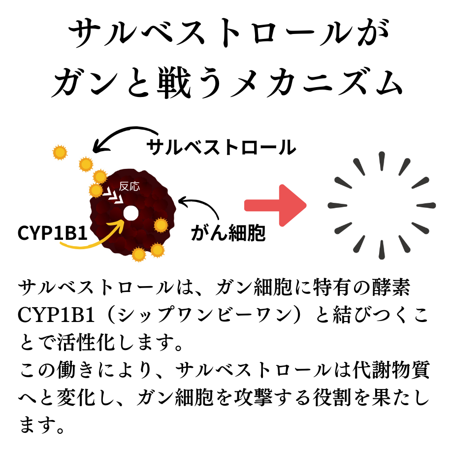 がん予防サプリ サルベストロールPLATINUM2000：90粒/1袋
