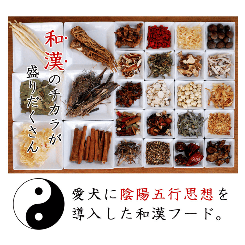 和漢みらいのドッグフード 特別療法食A（皮ふ・アレルギー）1kg/袋