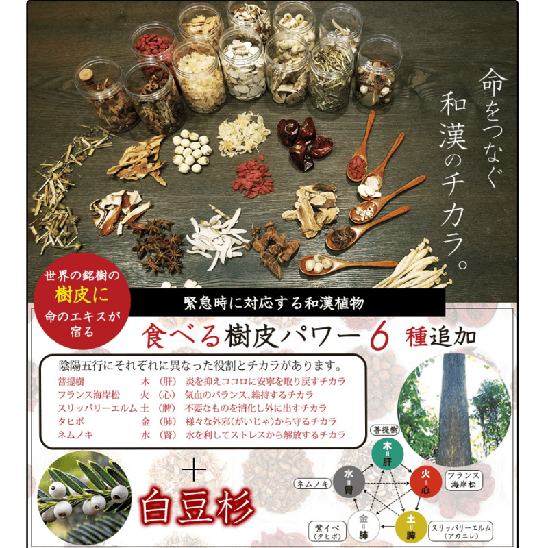 和漢みらいのドッグフード 特別療法食H （骨関節）1kg/袋 ～国産無添加