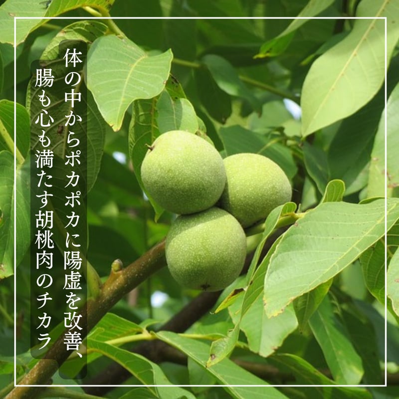 胡桃（くるみ）無農薬栽培 50g / 脳も、体も、毎日コツコツくるみ習慣