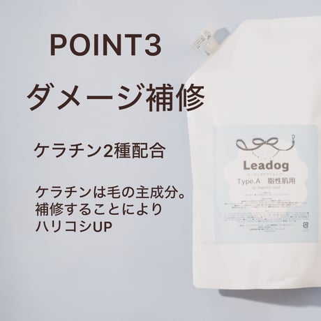 リードッグケアシャンプー Type.A 脂性肌用 200ml